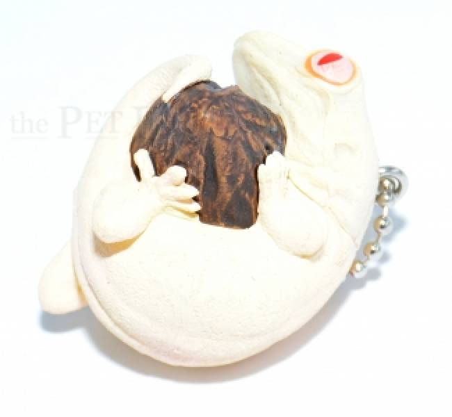 Japanfigur Keychain - Gecko albino